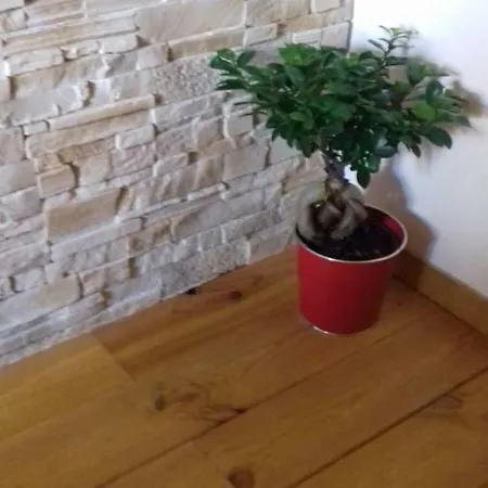 Appartamento Squirrel